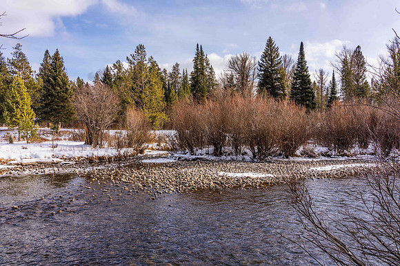 5075RainbowTrout_JGPhoto-19