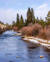 5075RainbowTrout_JGPhoto-20