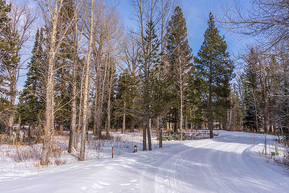 5075RainbowTrout_JGPhoto-21