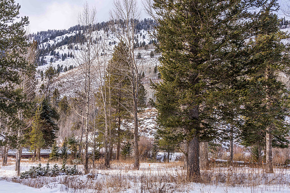 5075RainbowTrout_JGPhoto-22