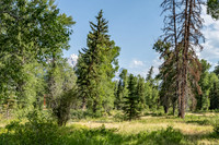 155BuckMountain_JGPhoto-9