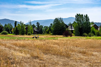 9ColdSprings_JGPhoto-9