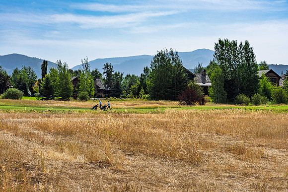 9ColdSprings_JGPhoto-9