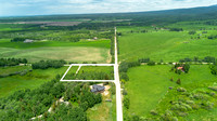 50 W Rigby_JGPhoto-75 copy