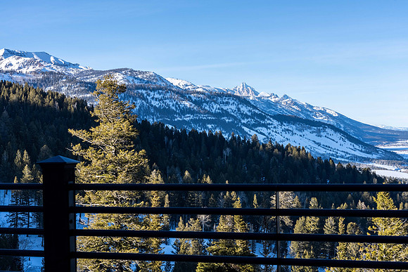 LupineTrl_JGPhoto-53