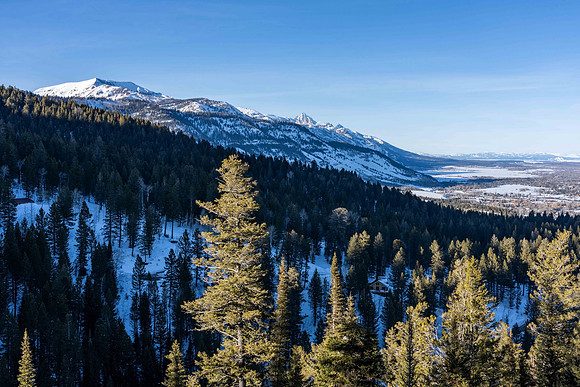 LupineTrl_JGPhoto-60
