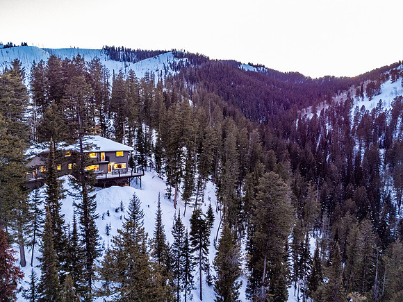 6960LupineDrone_JGPhoto-13