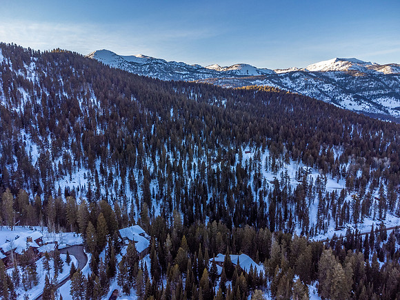 6960LupineDrone_JGPhoto-6