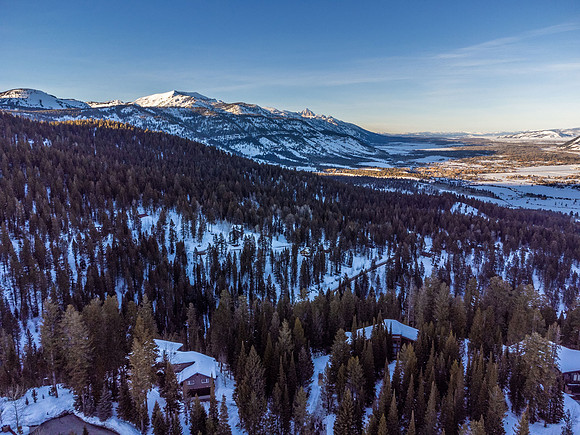 6960LupineDrone_JGPhoto-5