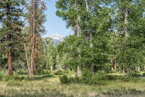155BuckMountain_JGPhoto-13