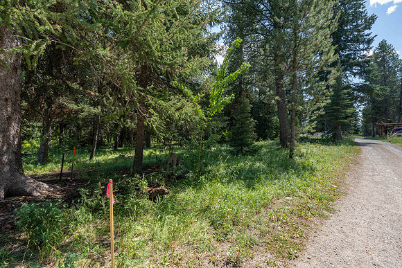 6255HeckofaHill_JGPhoto-26