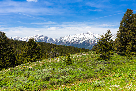 Buck Mountain