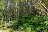 Lot40SnowKing_JGPhoto-10