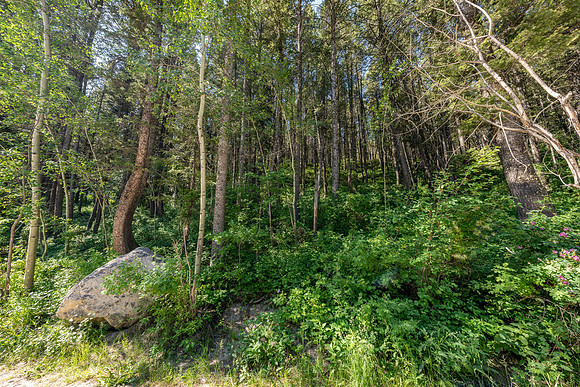 Lot40SnowKing_JGPhoto-10