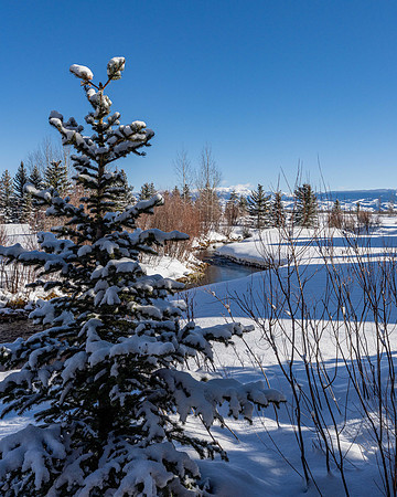 3283Werner_JGPhoto-43