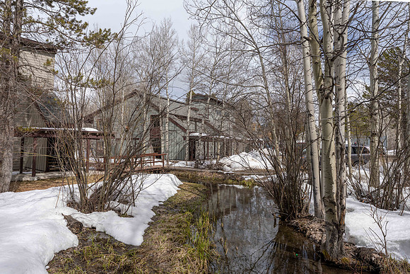 1222Larkspur_JGPhoto-19