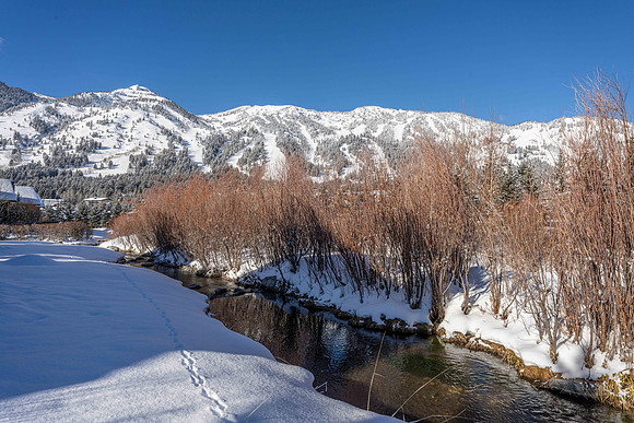 3283Werner_JGPhoto-49