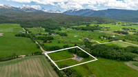 50 W Rigby_JGPhoto-70 copy