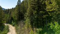 Lot40SnowKing_JGPhoto-18
