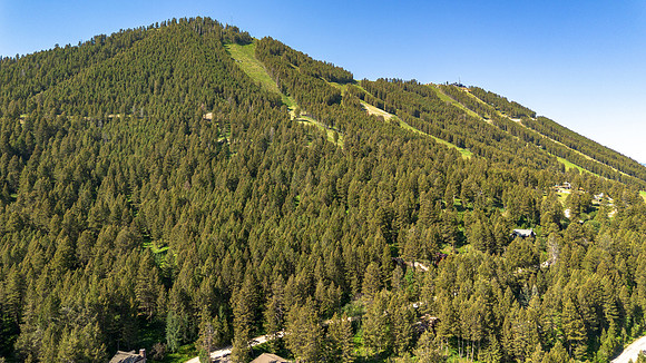 Lot40SnowKing_JGPhoto-20