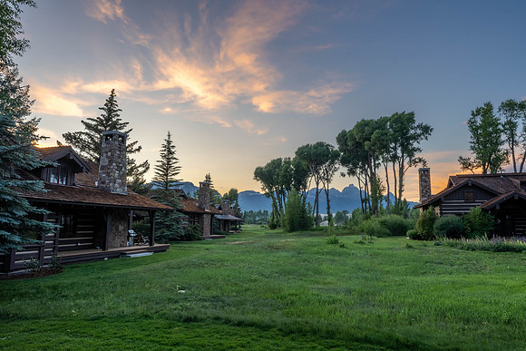5862ConeflowerTwilight_JGPhoto-21