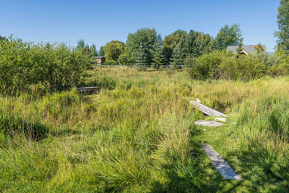 SPR_JGPhoto-10
