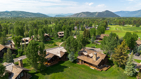 5862ConeflowerDrone_JGPhoto-5