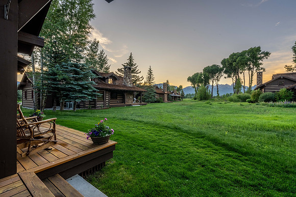 5862ConeflowerTwilight_JGPhoto-8