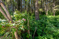 Lot40SnowKing_JGPhoto-15