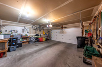 3120KingEider_JGPhoto-3