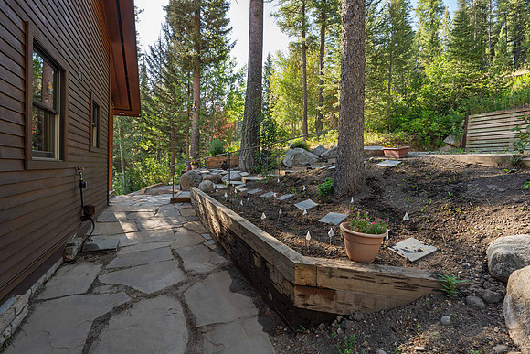 6785LupineTrail_JGPhoto-11