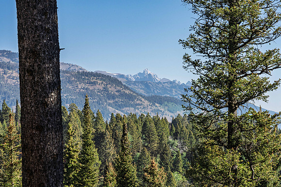 6785LupineTrail_JGPhoto-17