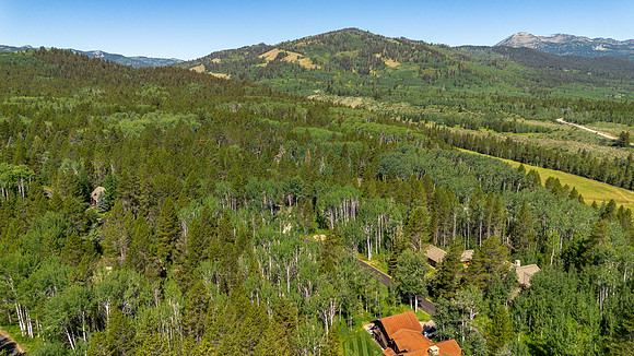 Lot9Woodchuck_JGPhoto-26