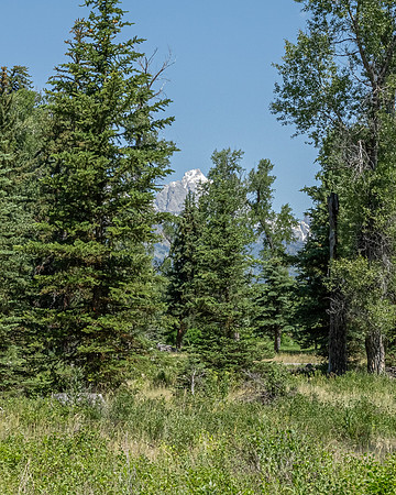155BuckMountain_JGPhoto-84