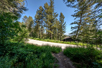 Lot40SnowKing_JGPhoto-2