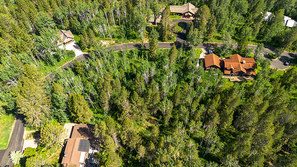Lot9Woodchuck_JGPhoto-22