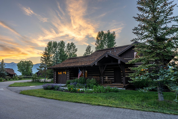 5862ConeflowerTwilight_JGPhoto-18