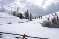 1710Porcupine_JGPhoto-4