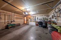 3120KingEider_JGPhoto-4