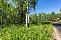 Lot9Woodchuck_JGPhoto-7