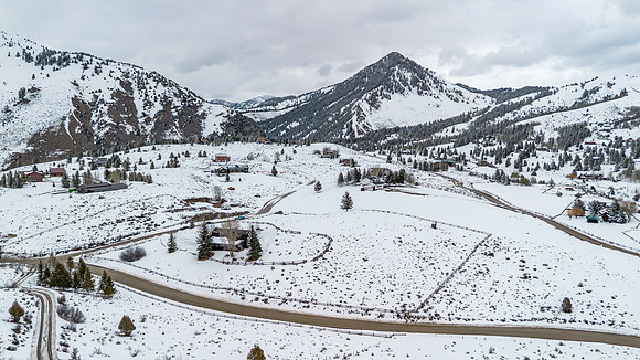 1710Porcupine_JGPhoto-51