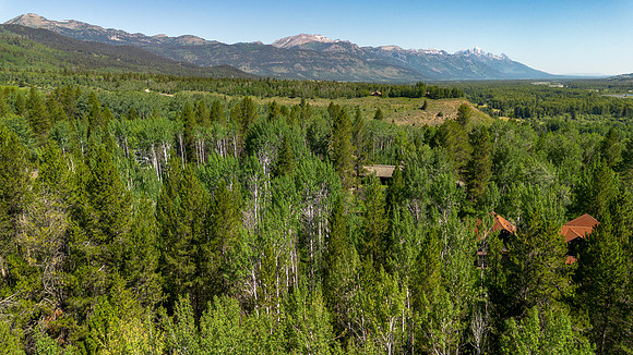 Lot9Woodchuck_JGPhoto-27