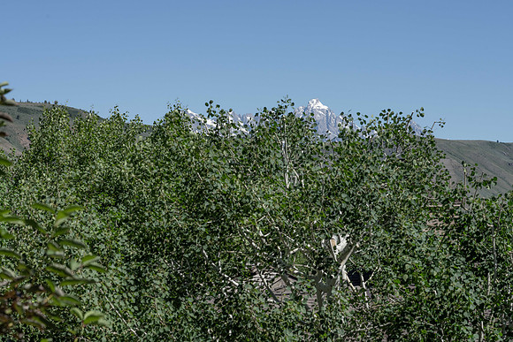 SKL481_JGPhoto-31
