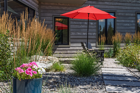 5825Larkspur_JGPhoto-50