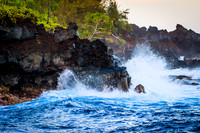 Hawaiian Coast