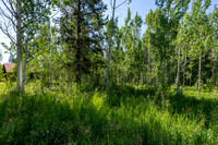 Lot9Woodchuck_JGPhoto-3