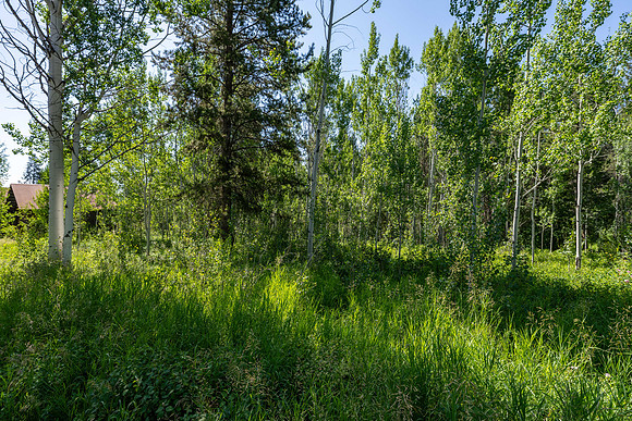 Lot9Woodchuck_JGPhoto-3