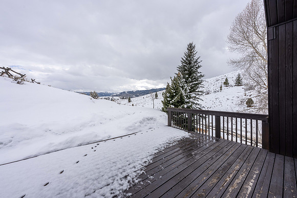 1710Porcupine_JGPhoto-27