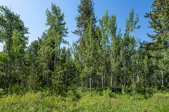 Lot9Woodchuck_JGPhoto-8