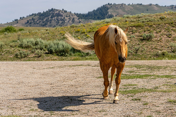 CoraVistaExt_JGPhoto-75